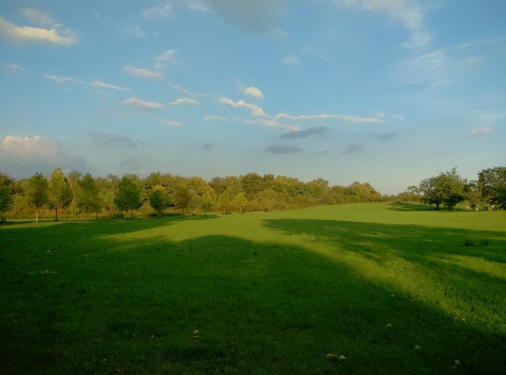 Ornato Garden Apartment Mediolan Zewnętrze zdjęcie